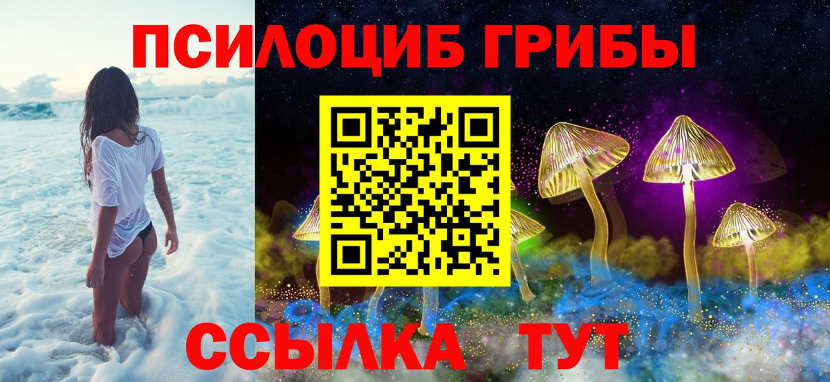 купить   Галлюциногенные грибы Psilocybine cubensis  Вход с VPN  Псилоцибиновые грибы ЛСД  Зеленодольск 